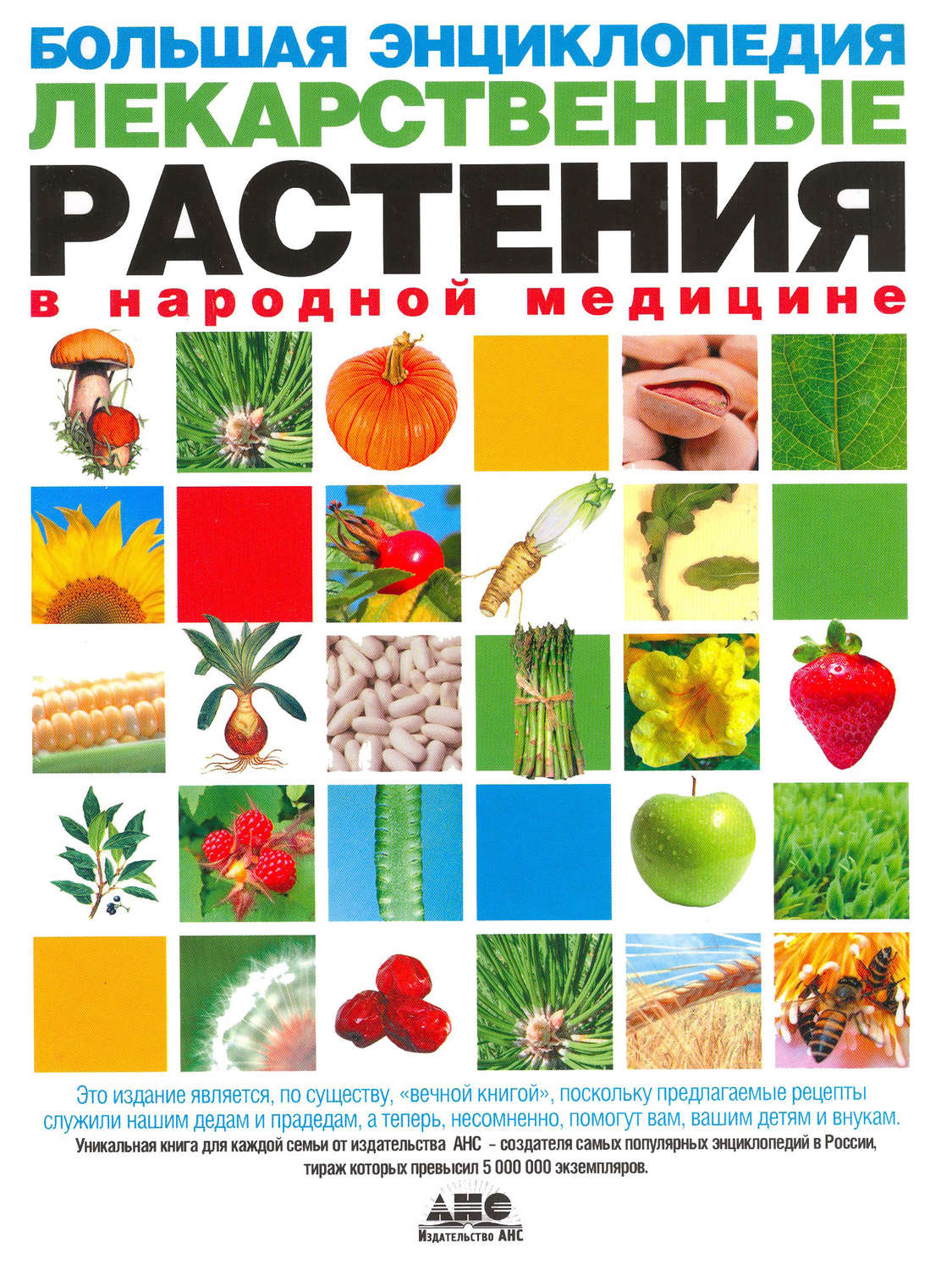 Обложка книги «Большая энциклопедия. Лекарственные растения в народной медицине»