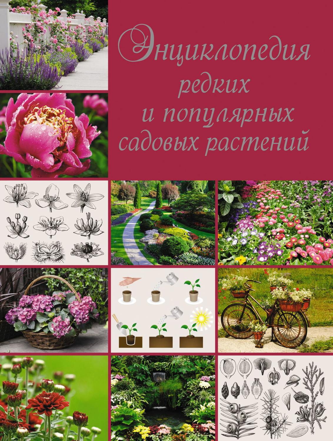 Обложка книги «Энциклопедия редких и популярных садовых растений»