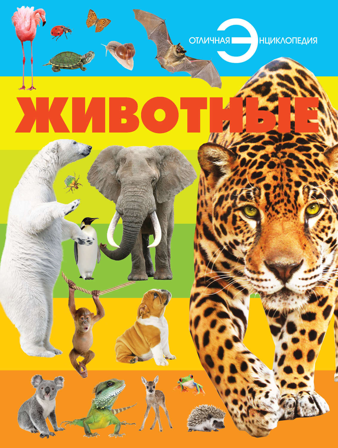 Обложка книги «Животные»