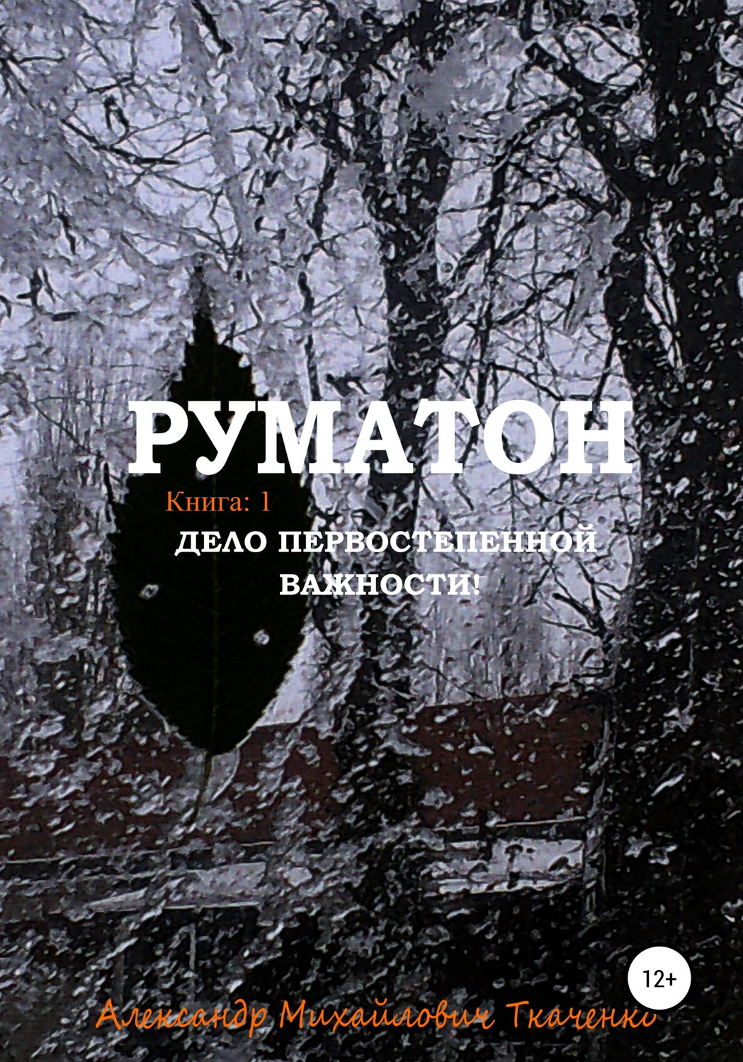 Обложка книги «Руматон. Дело первостепенной важности!»