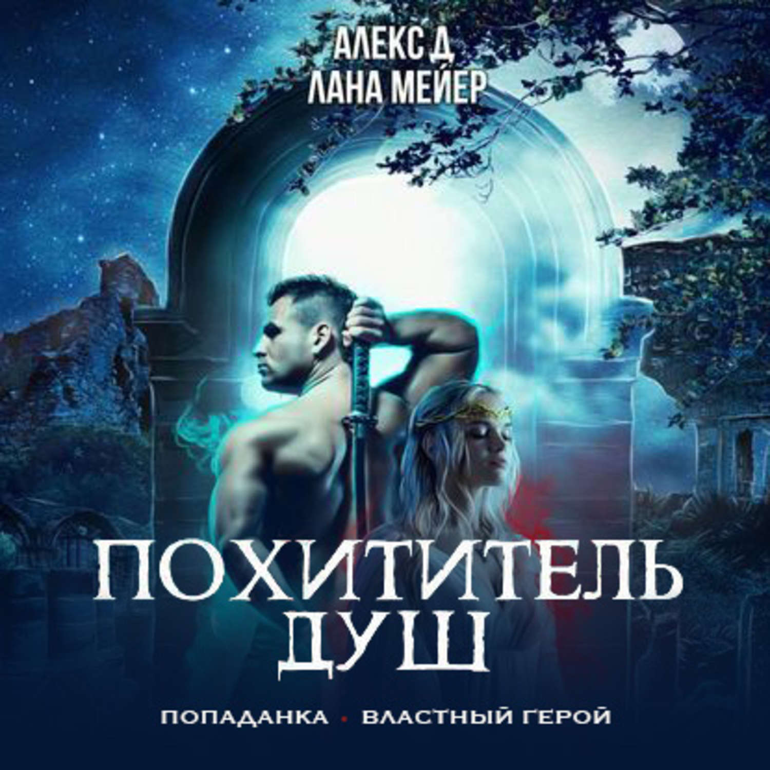 Обложка книги «Похититель душ»