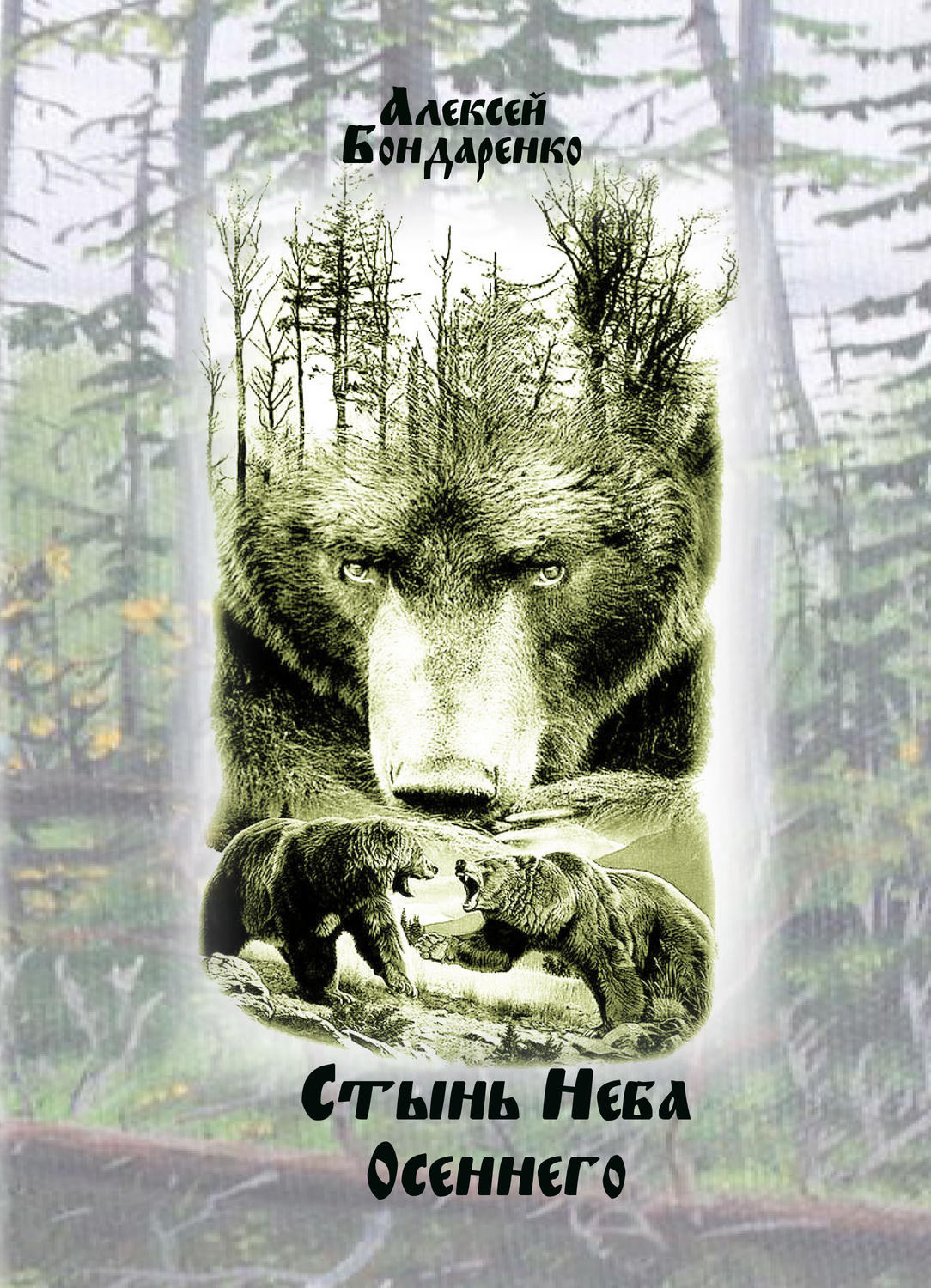 Обложка книги «Стынь неба осеннего»