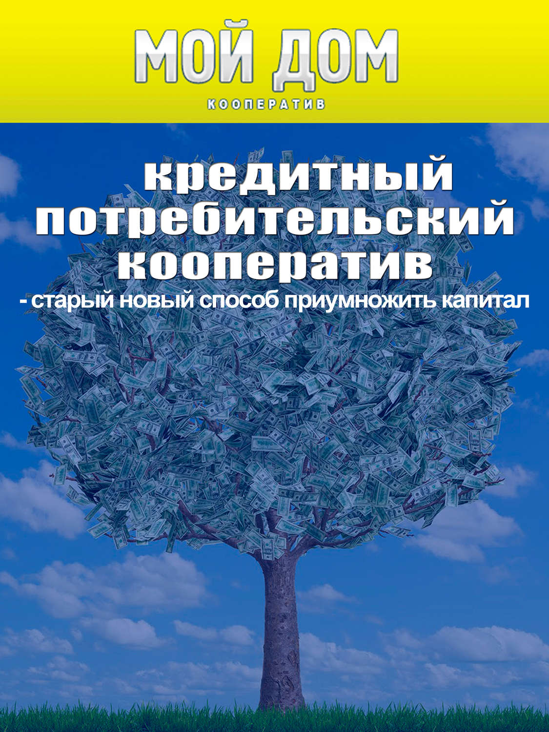 Обложка книги «Кредитный потребительский кооператив: старый новый способ приумножить капитал»