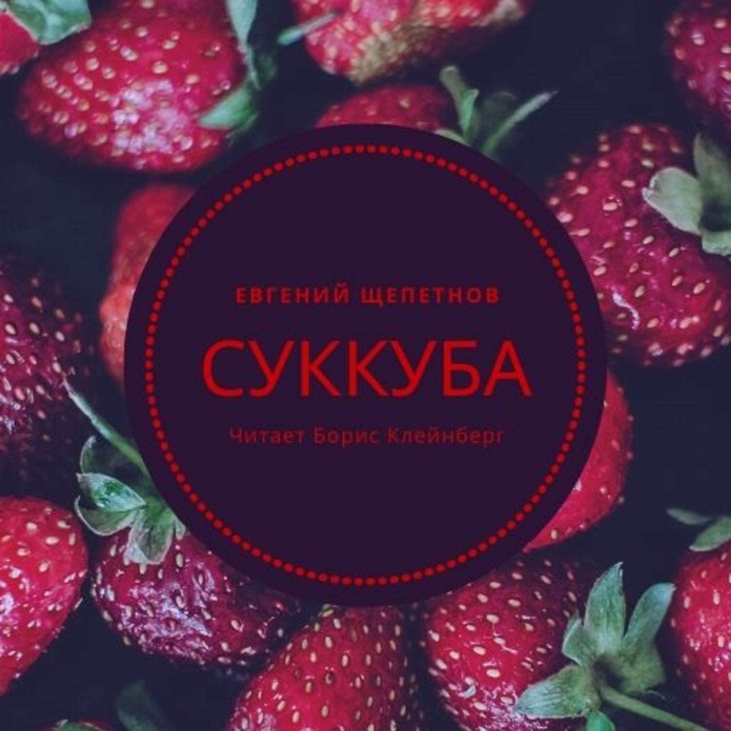 Обложка книги «Суккуба»