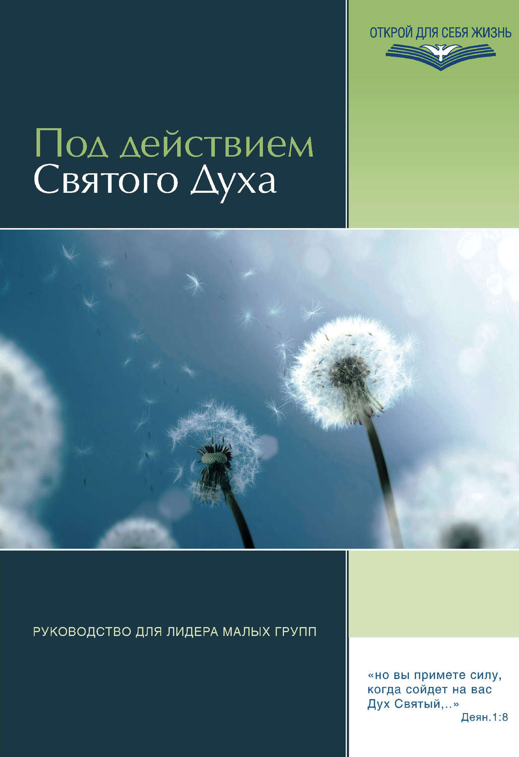 Обложка книги «Под действием Святого Духа. Руководство для лидера малых групп»