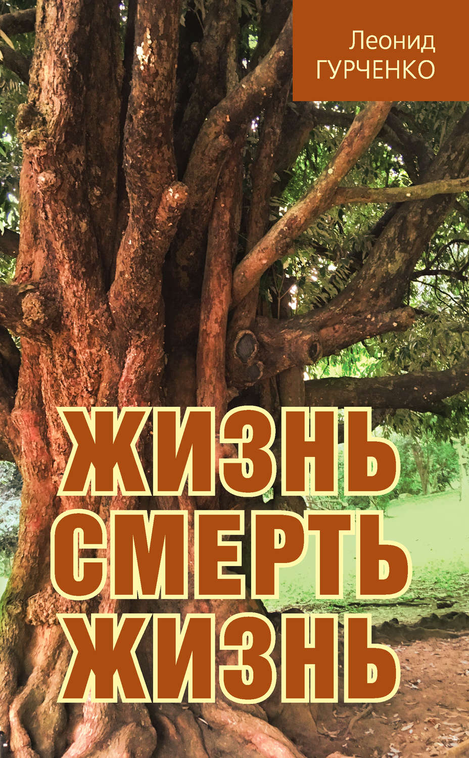 Обложка книги «Жизнь – смерть – жизнь»
