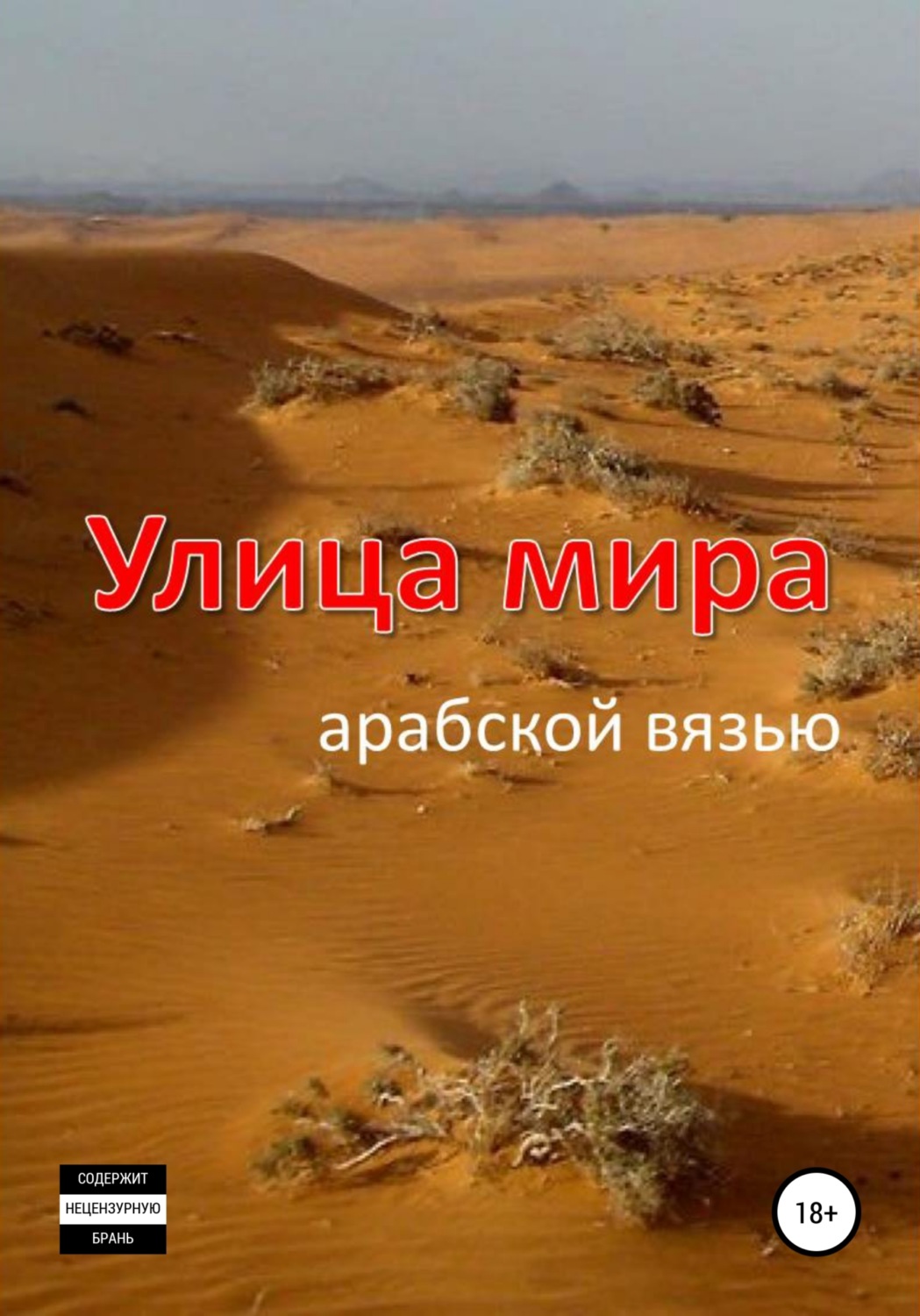 Обложка книги «Улица мира арабской вязью»