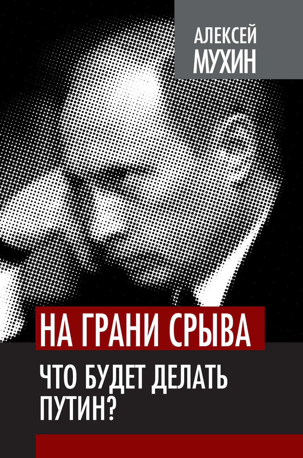 Обложка книги «На грани срыва. Что будет делать Путин?»