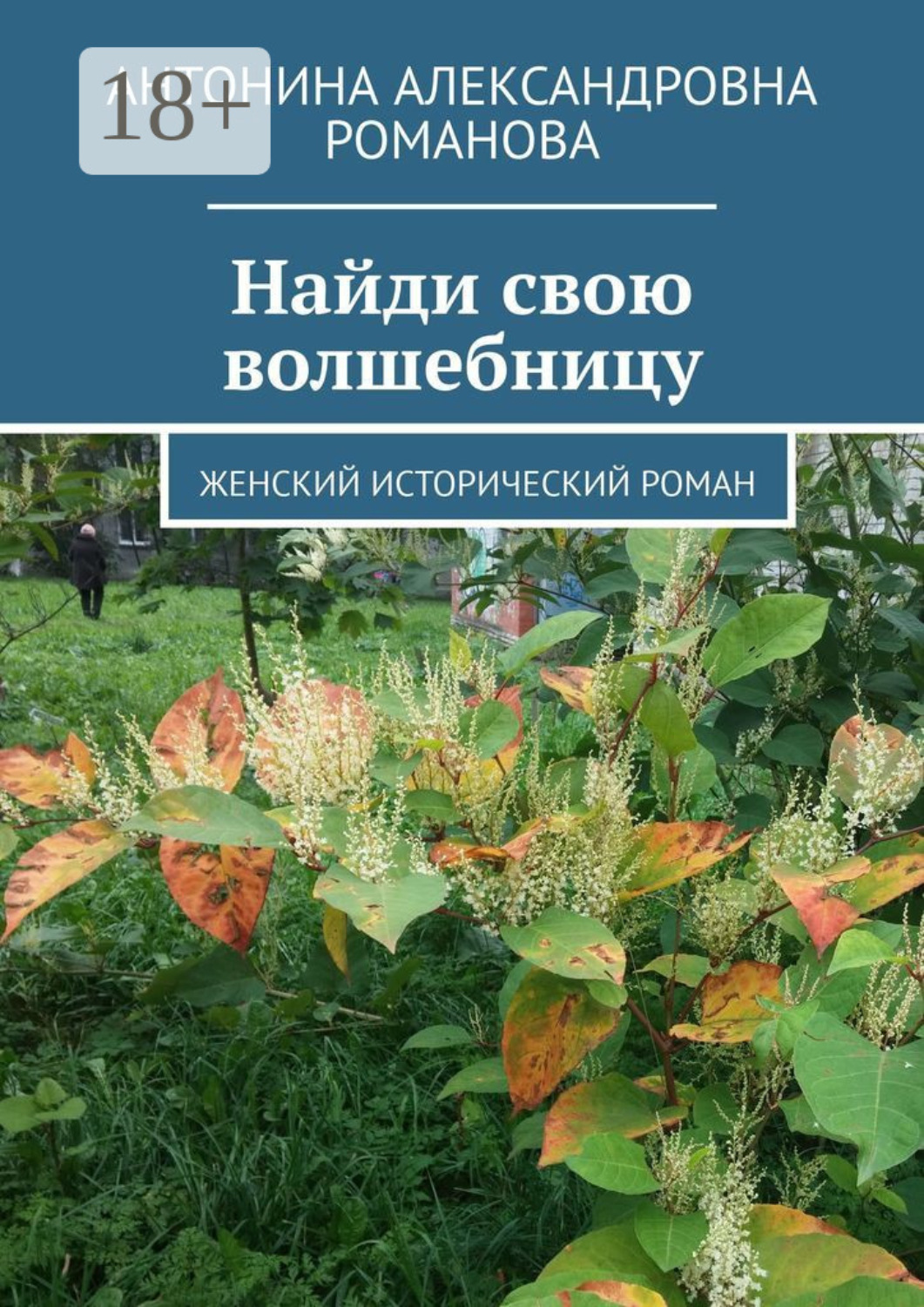 Обложка книги «Найди свою волшебницу. Женский исторический роман»