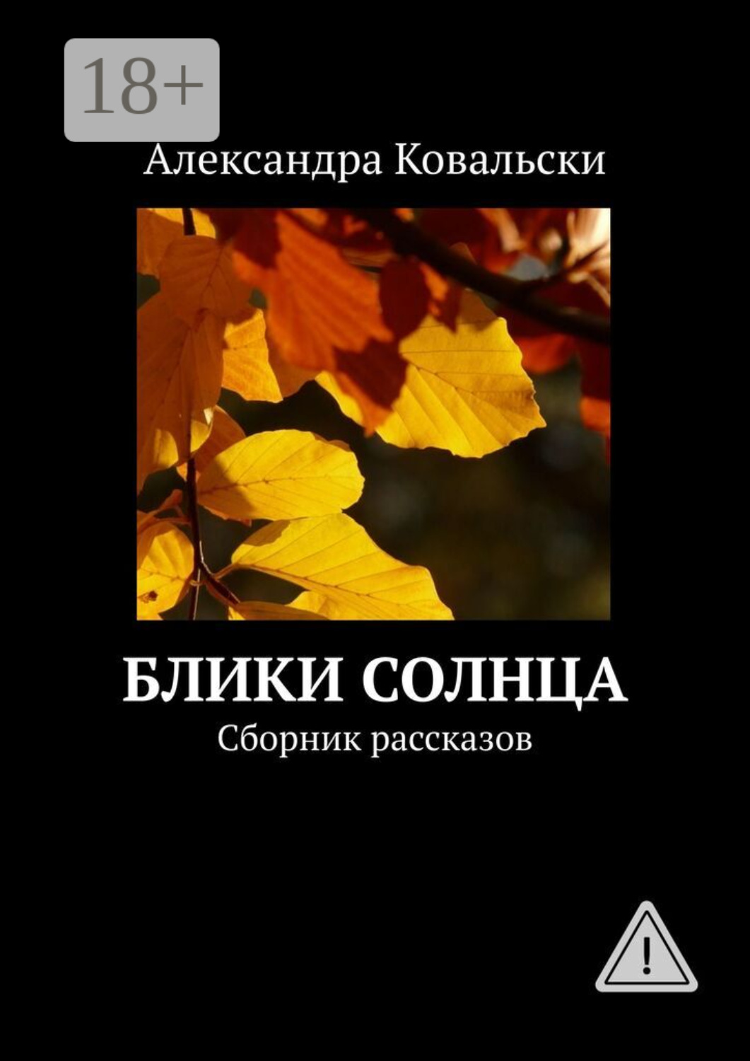 Обложка книги «Блики Солнца. Сборник рассказов»