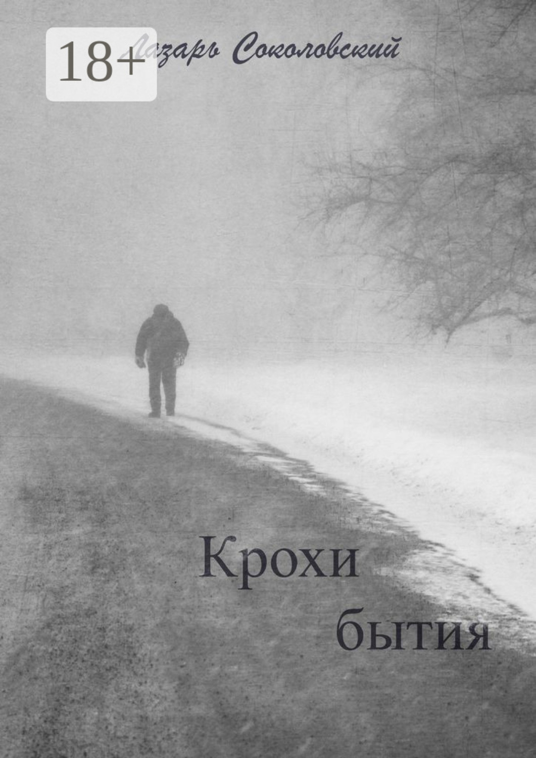 Обложка книги «Крохи бытия»