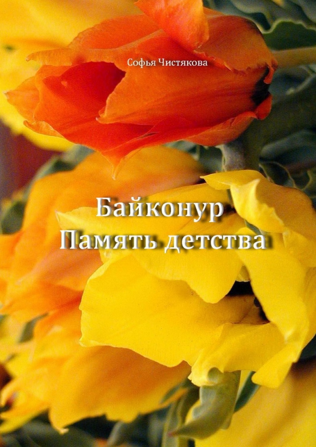 Обложка книги «Байконур. Память детства»