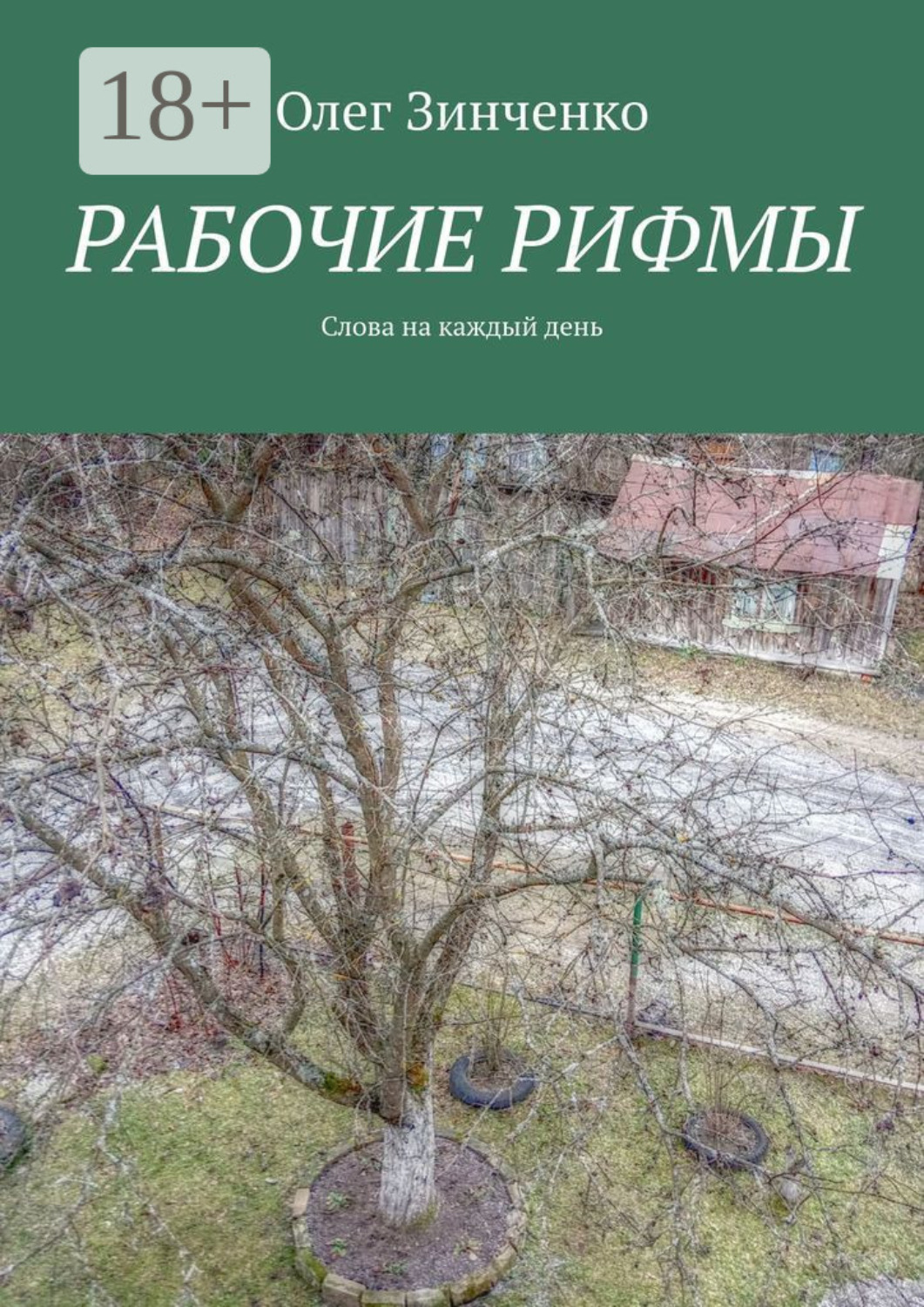 Обложка книги «Рабочие рифмы. Слова на каждый день»