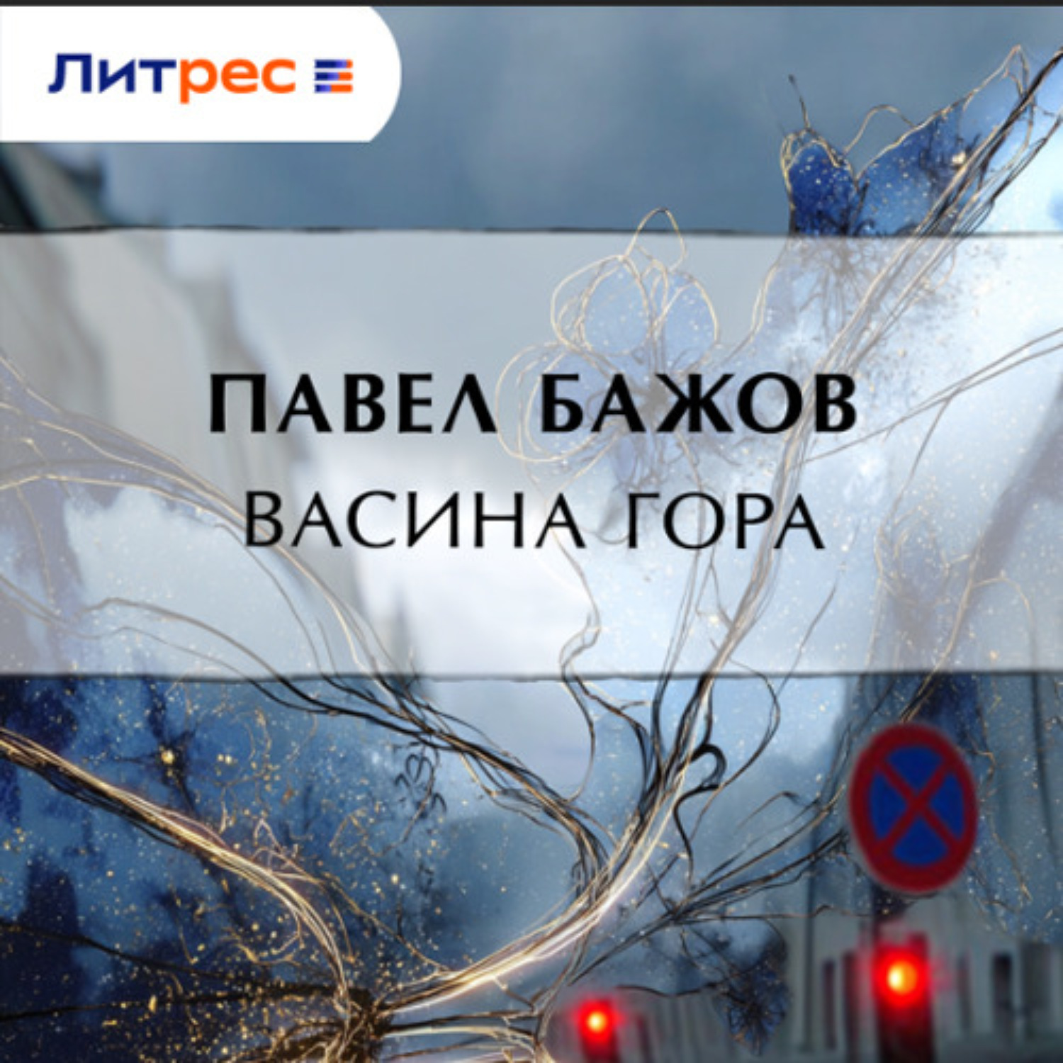 Обложка книги «Васина гора»