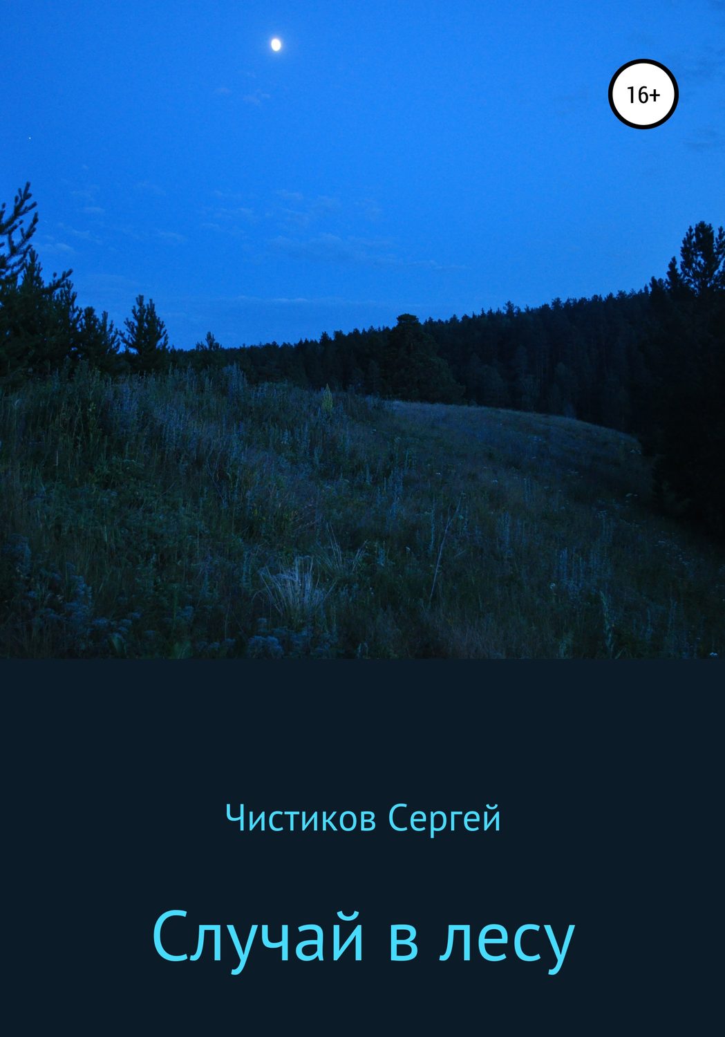Обложка книги «Случай в лесу»