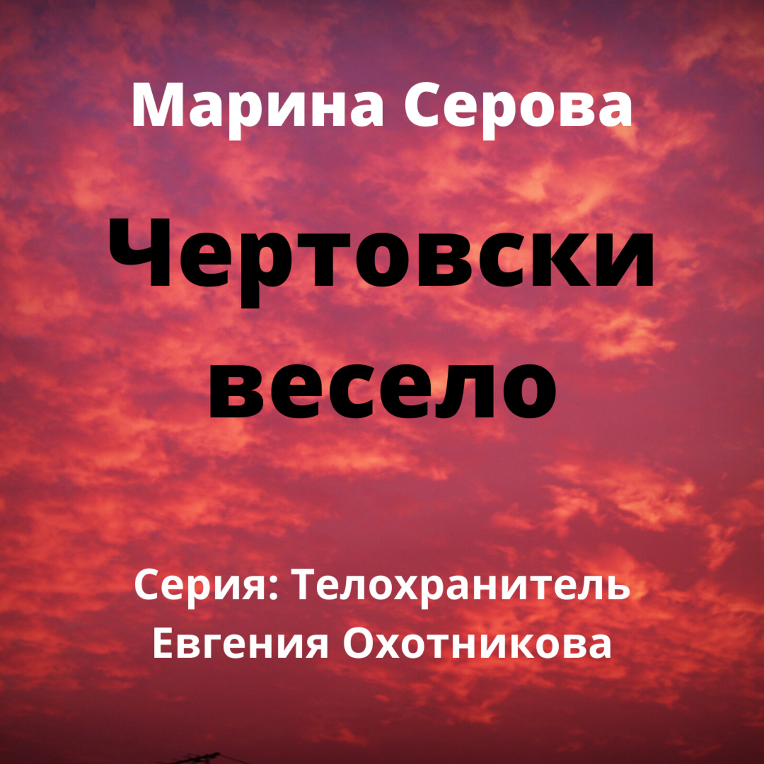 Обложка книги «Чертовски весело»