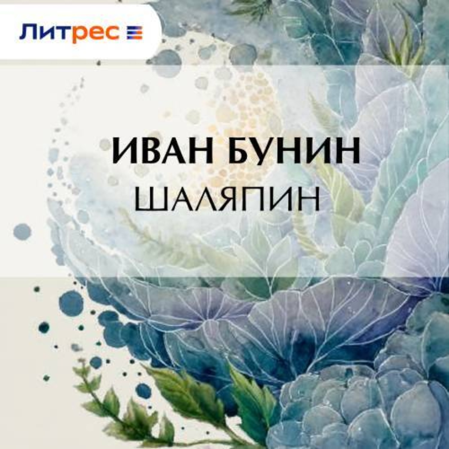 Обложка книги «Шаляпин»