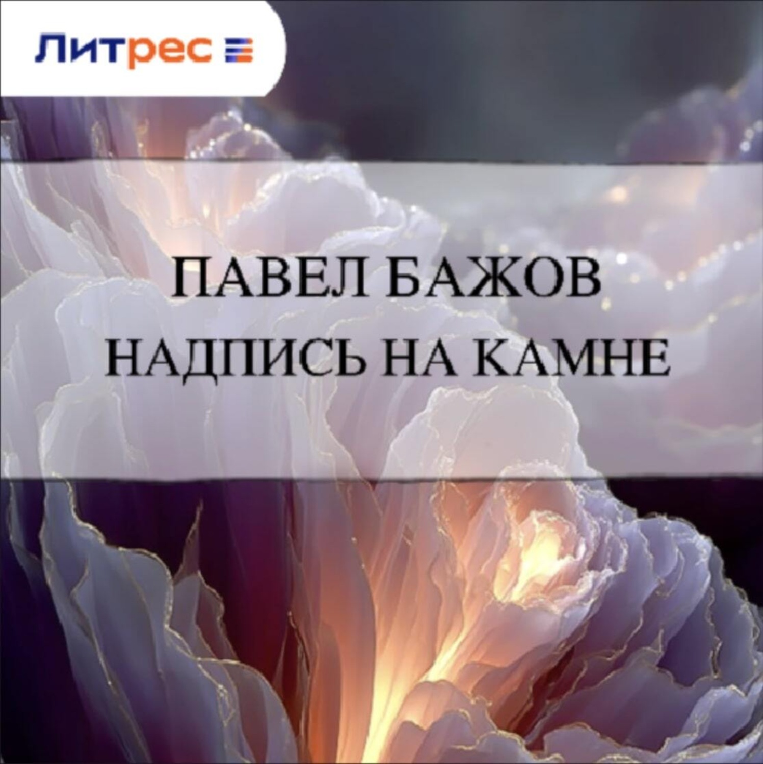 Обложка книги «Надпись на камне»