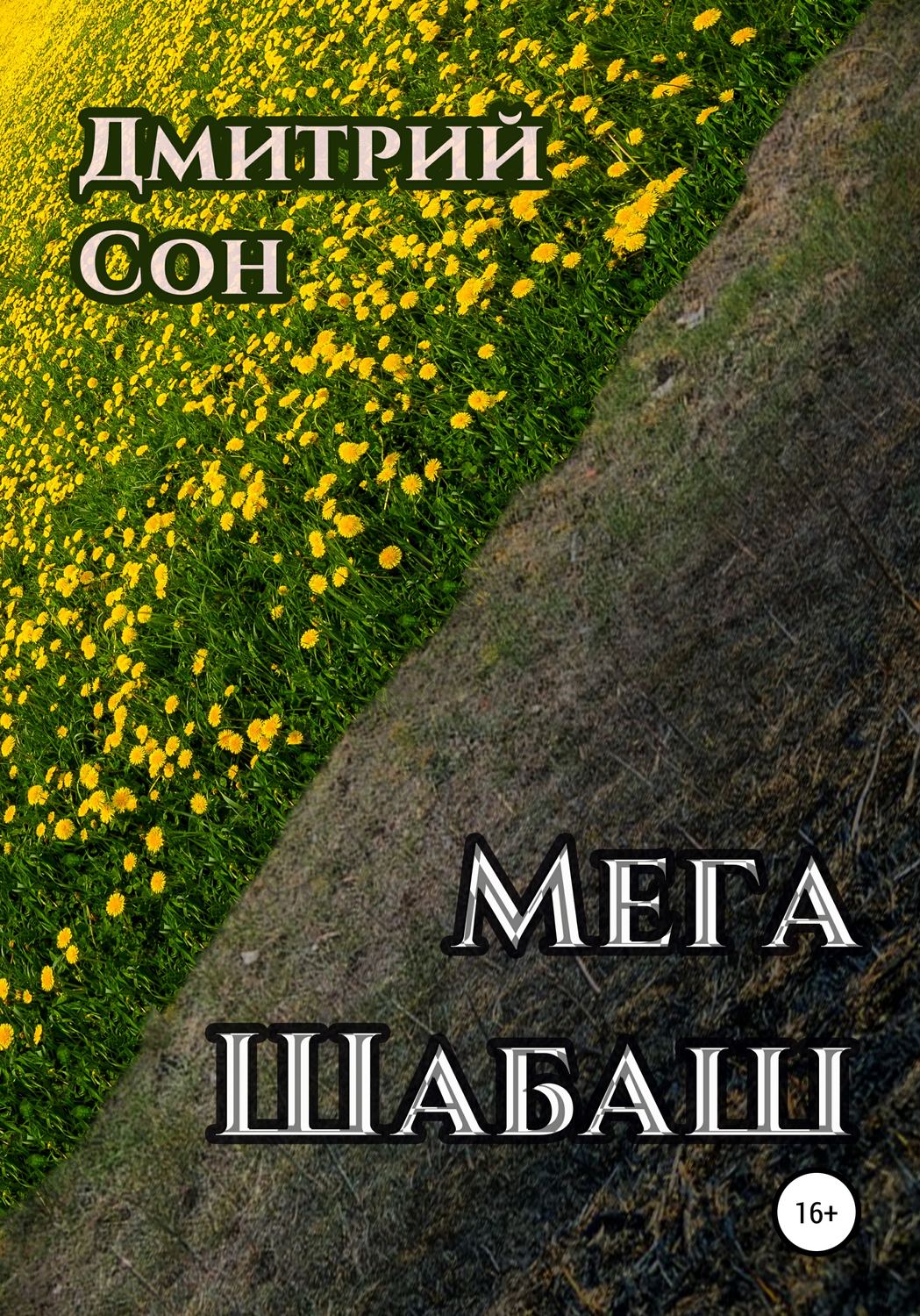 Обложка книги «Мега шабаш»