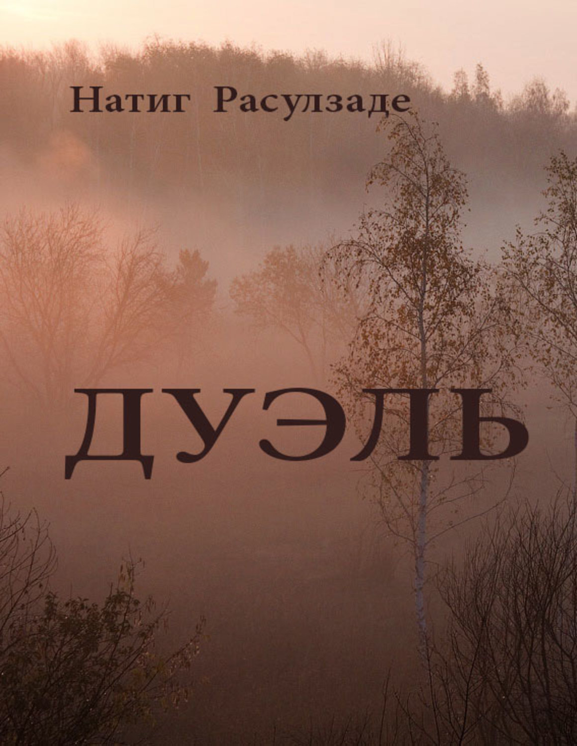 Обложка книги «Дуэль»