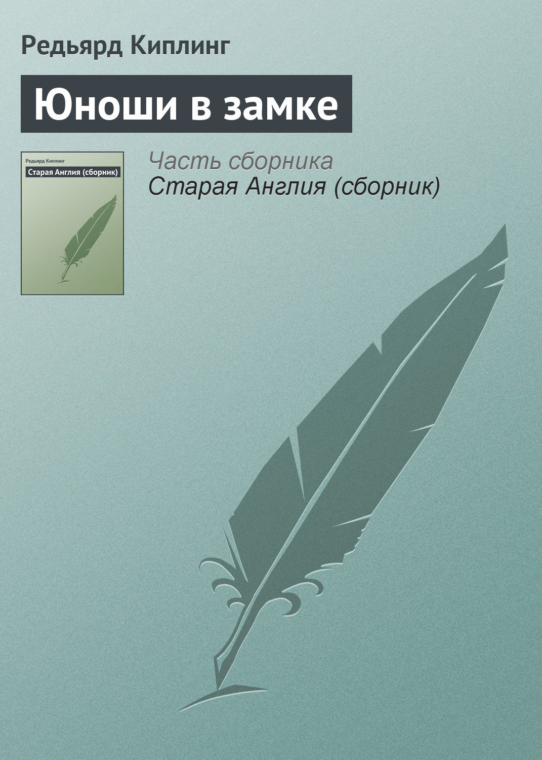 Обложка книги «Юноши в замке»