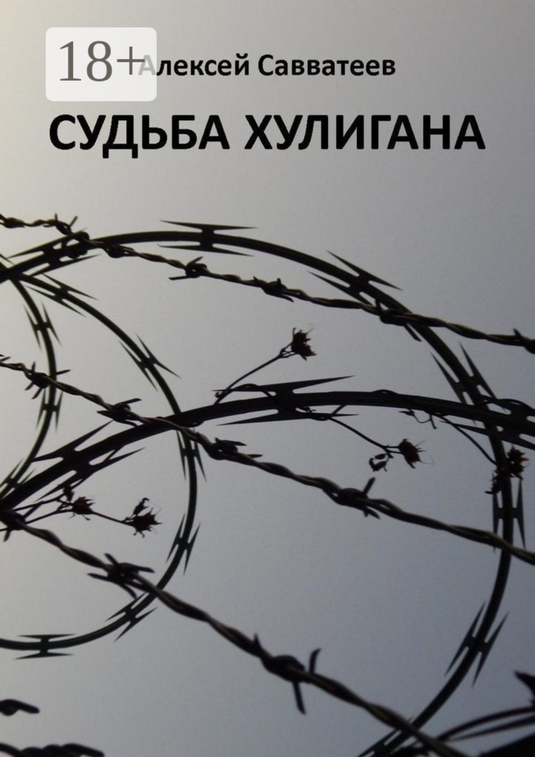 Обложка книги «Судьба хулигана»