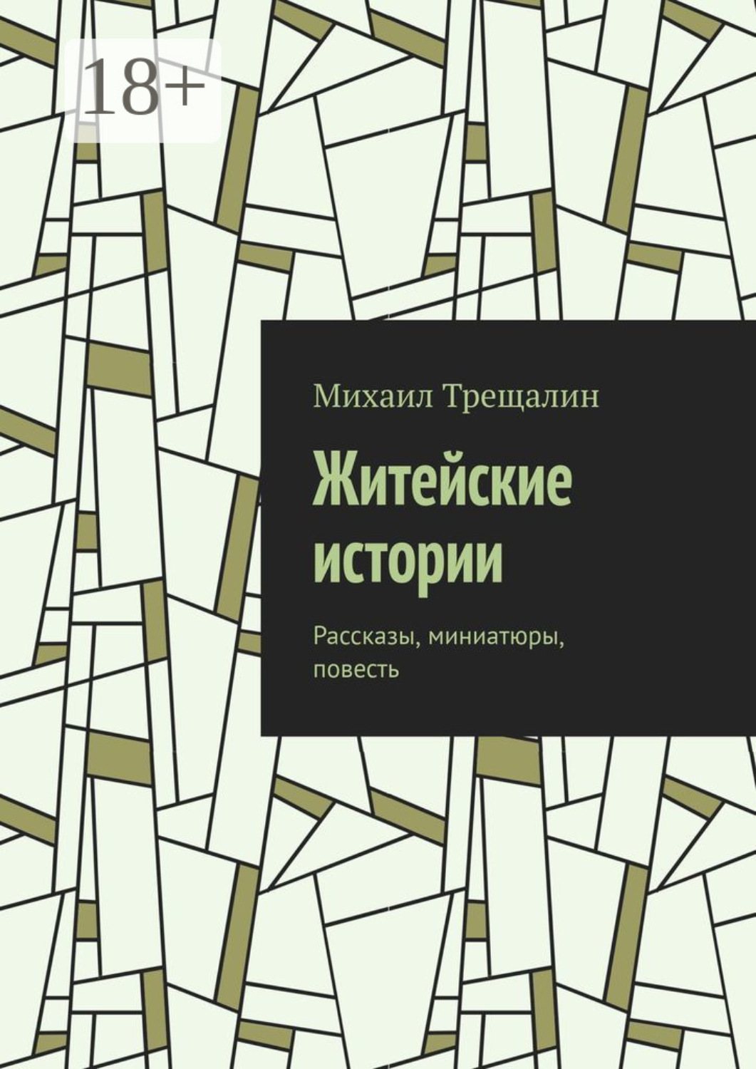 Обложка книги «Житейские истории. Рассказы, миниатюры, повесть»