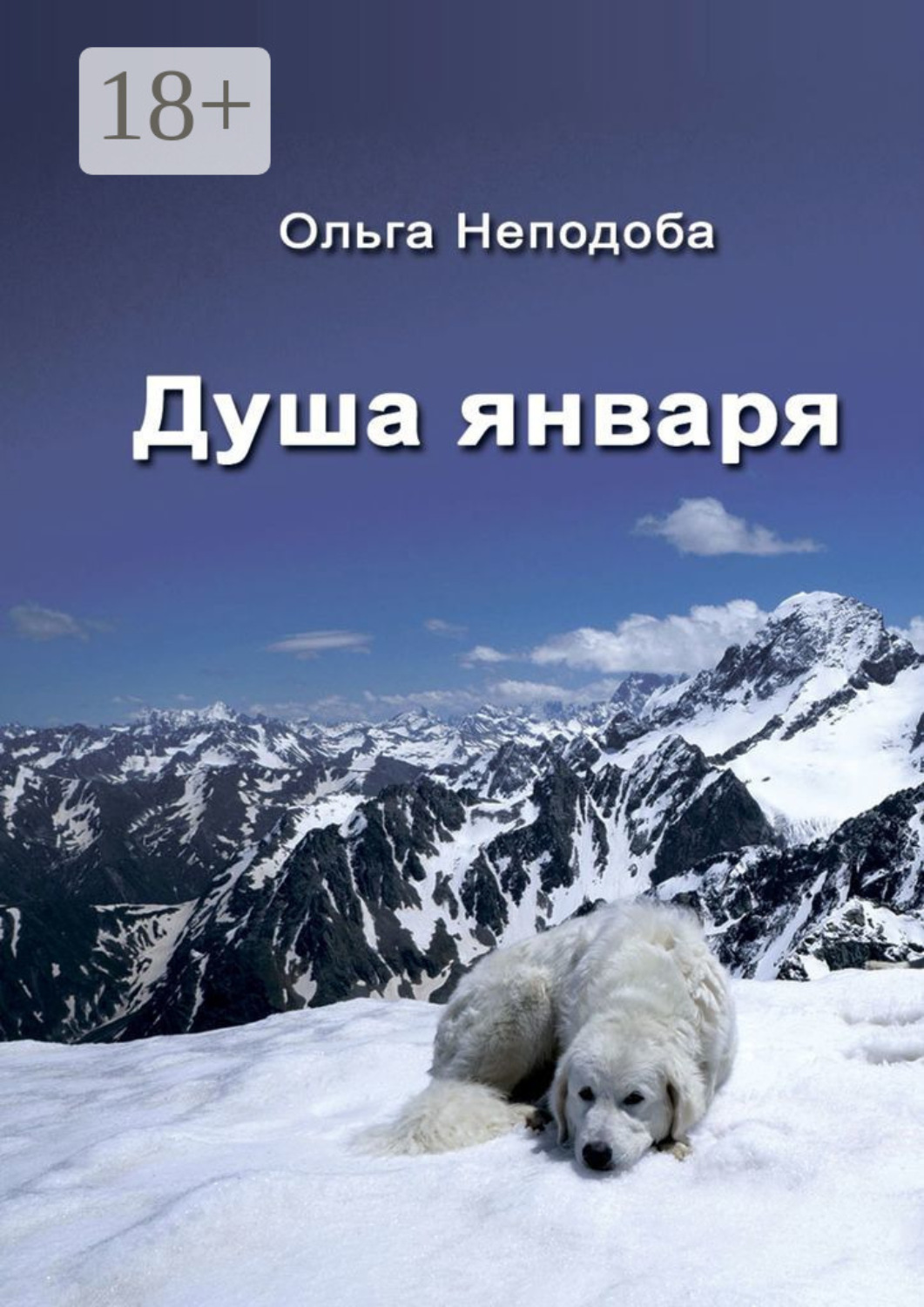 Обложка книги «Душа января»