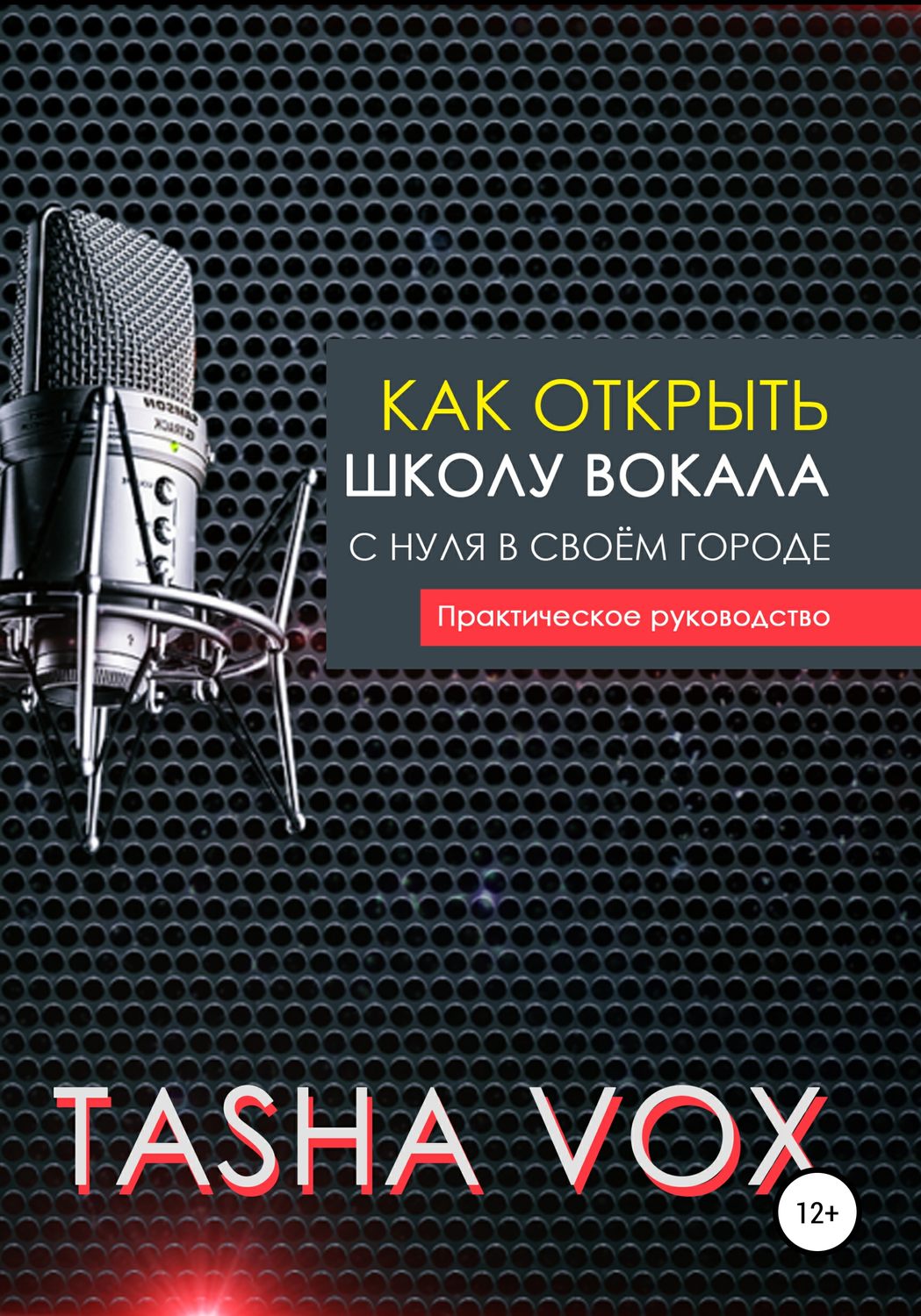 Обложка книги «Как открыть школу вокала с нуля в своём городе. Практическое руководство»