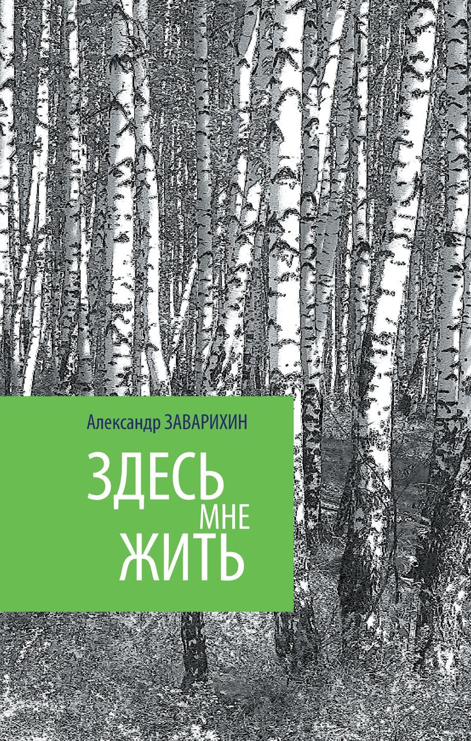 Обложка книги «Здесь мне жить»