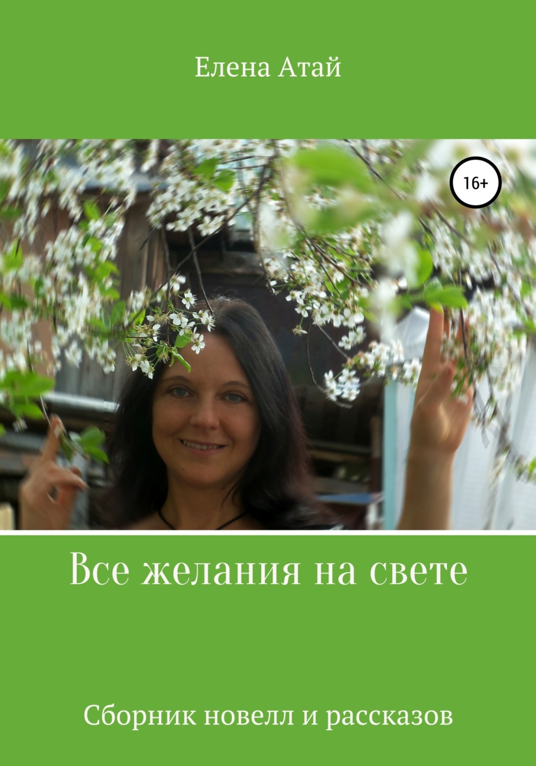 Обложка книги «Все желания на свете. Сборник новелл и рассказов»