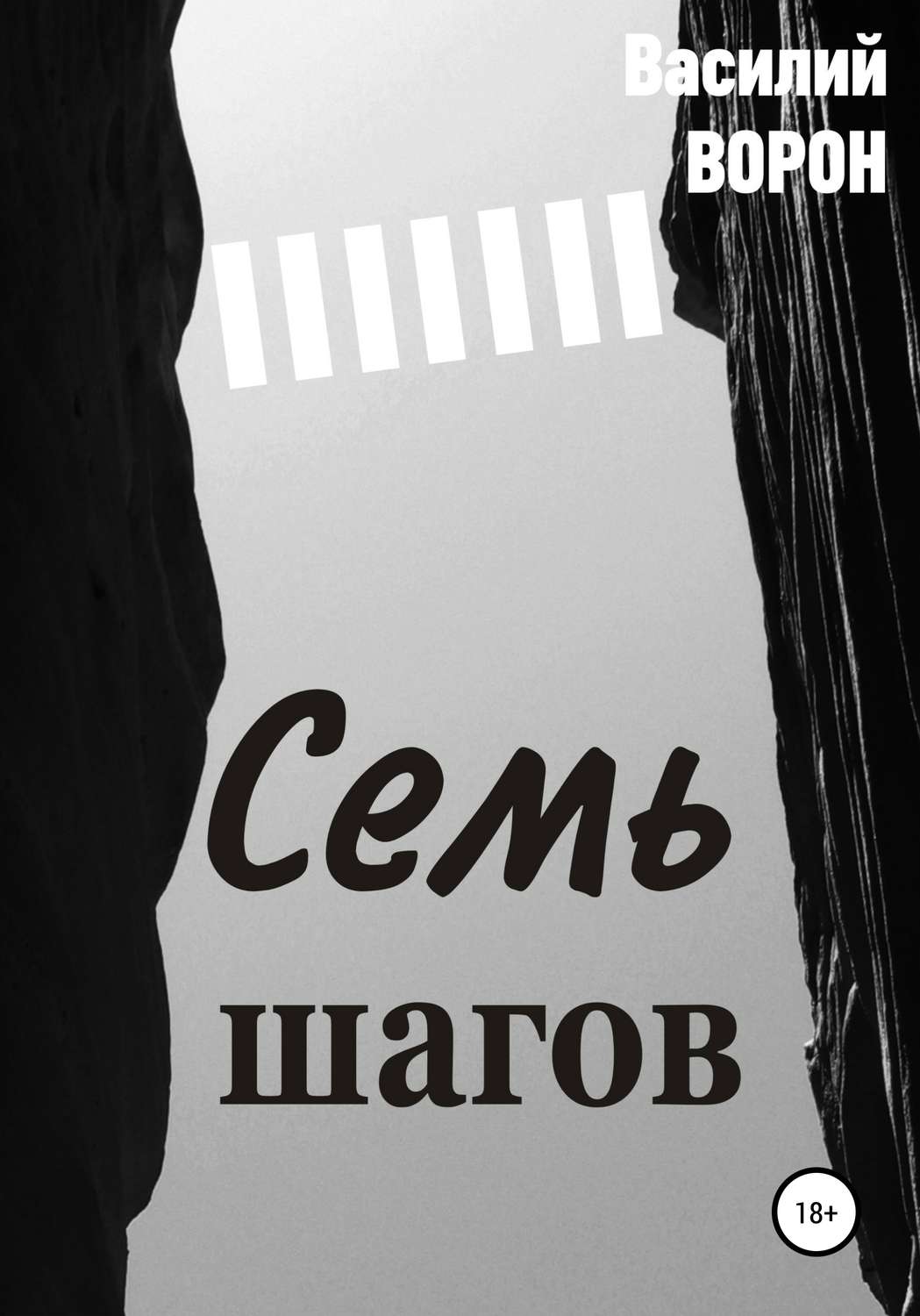 Обложка книги «Семь шагов»