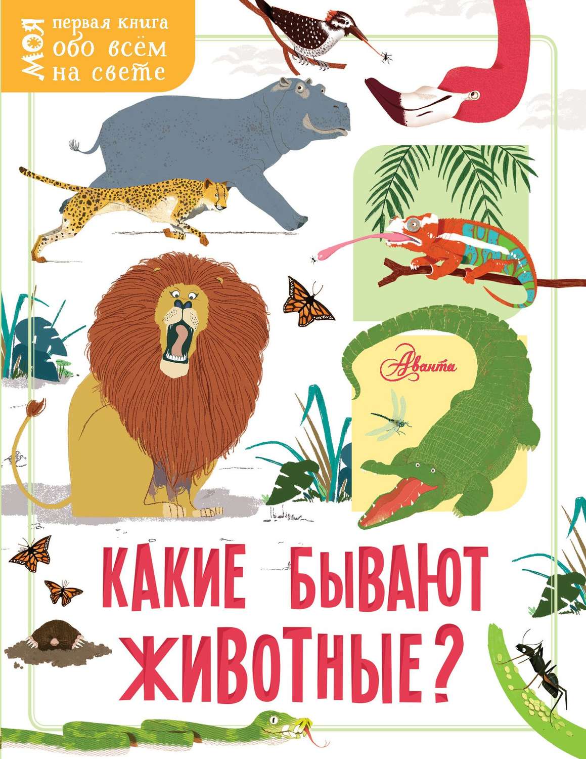 Обложка книги «Какие бывают животные?»