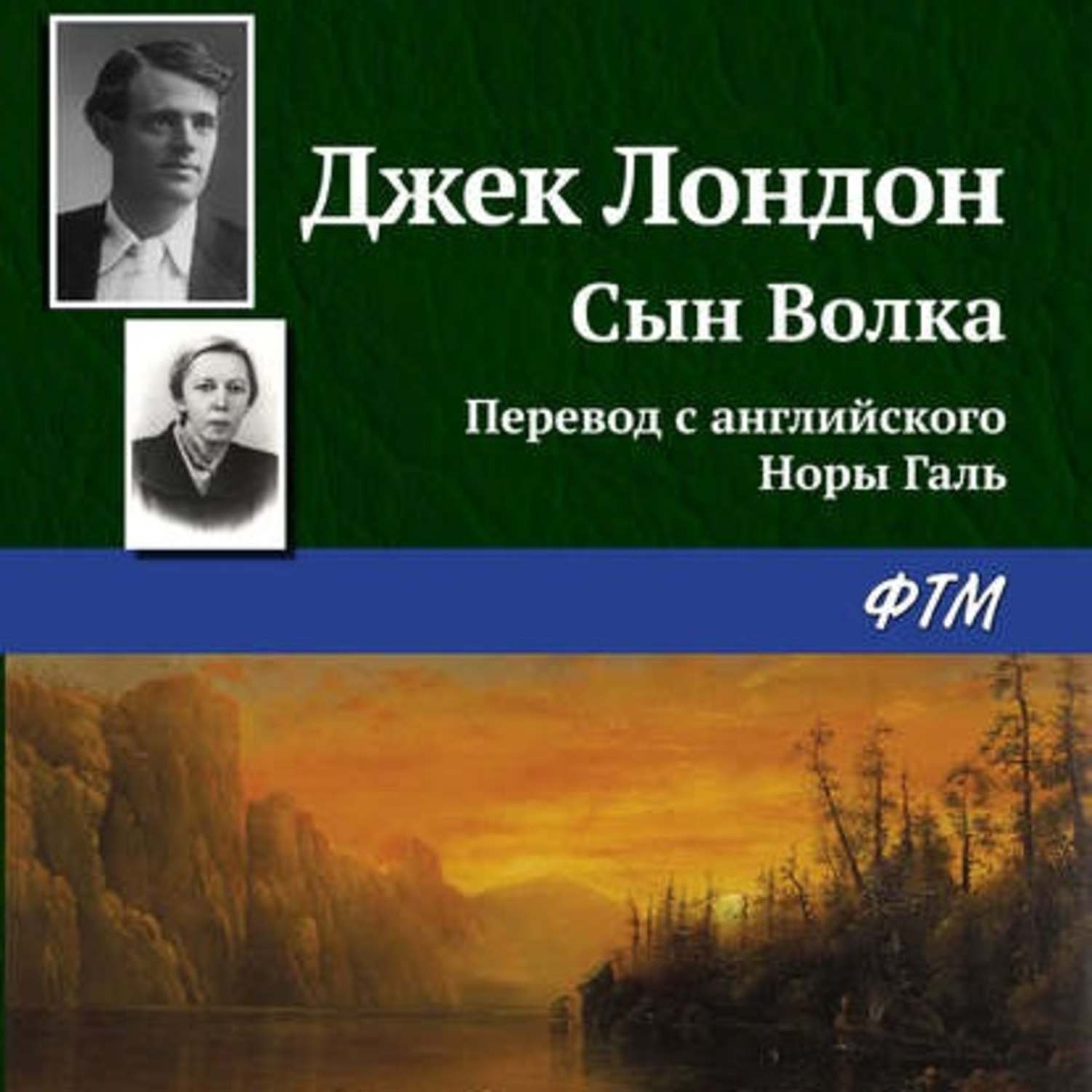 Обложка книги «Сын Волка»