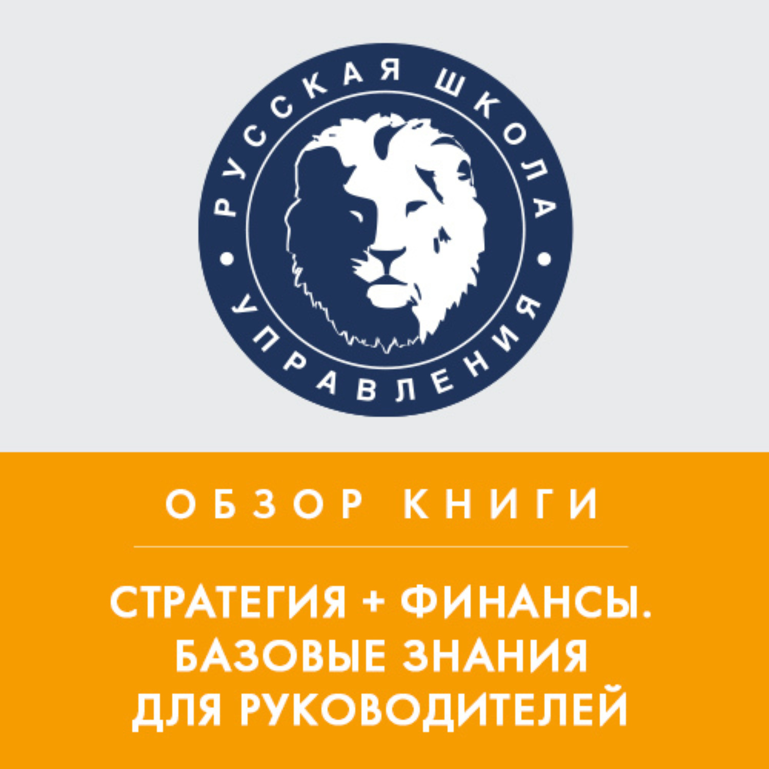 Обложка книги «Обзор книги В. Савчука «Стратегия + финансы. Базовые знания для руководителей»»