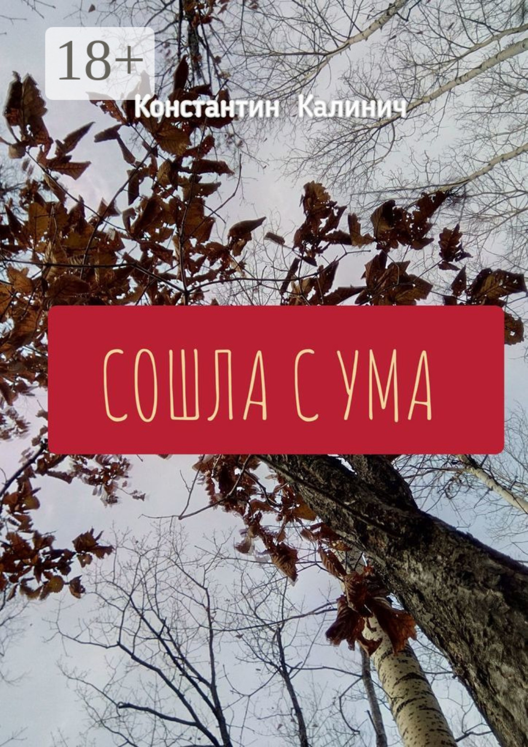 Обложка книги «Сошла с ума»