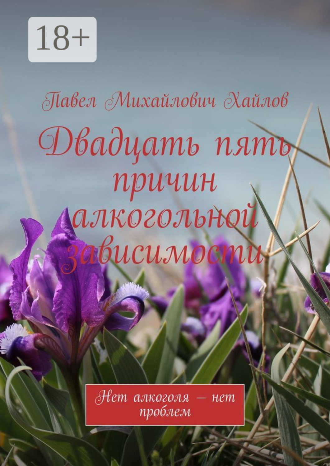 Обложка книги «Двадцать пять причин алкогольной зависимости. Нет алкоголя – нет проблем»