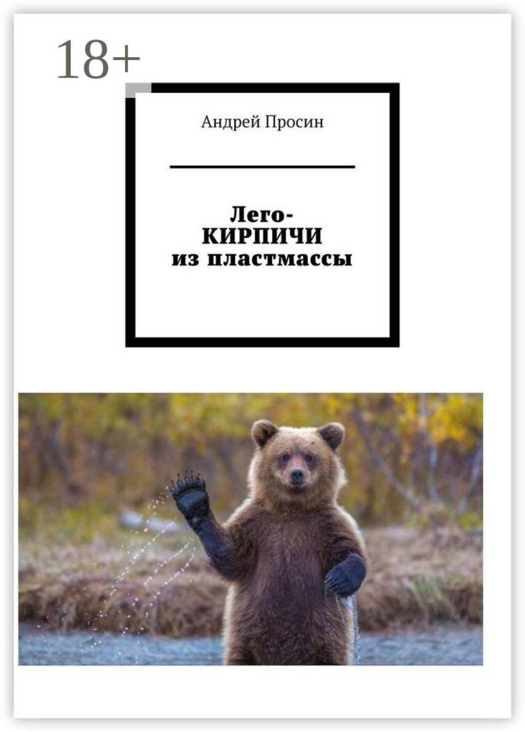 Обложка книги «Лего-кирпичи из пластмассы»