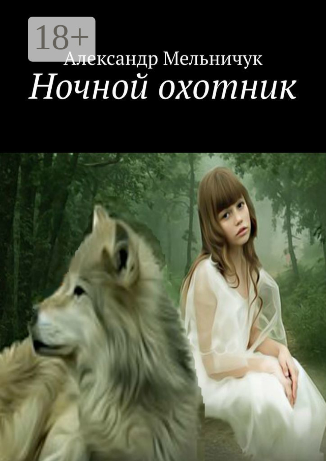 Обложка книги «Ночной охотник»
