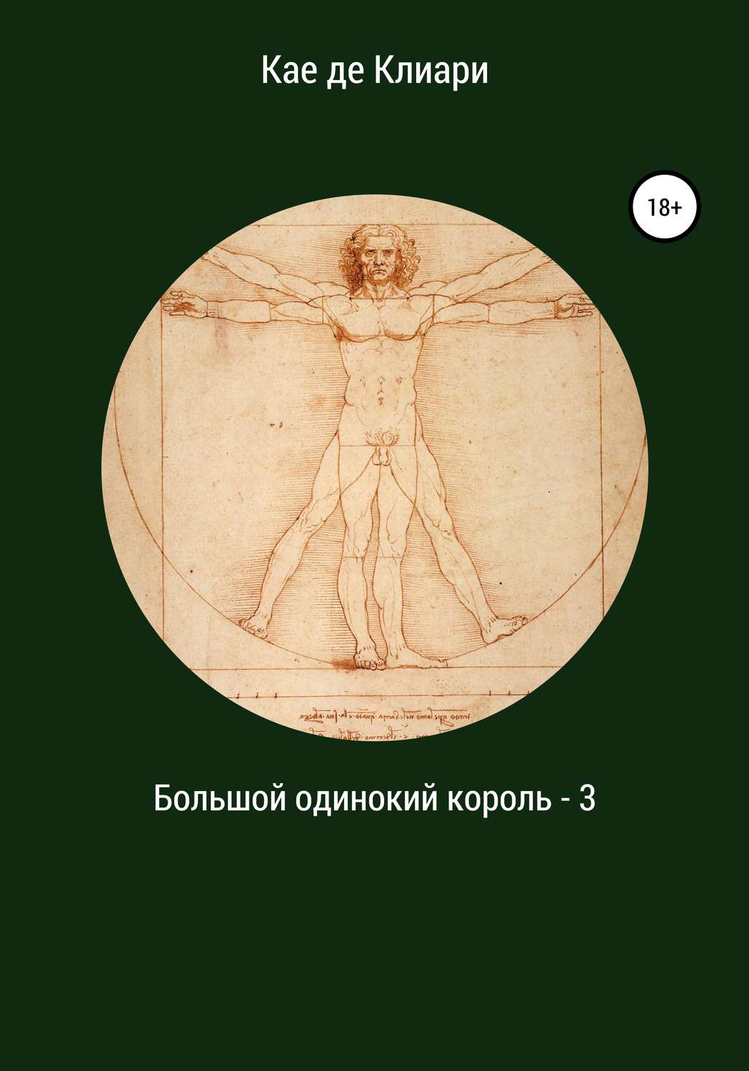 Обложка книги «Большой одинокий король 3»