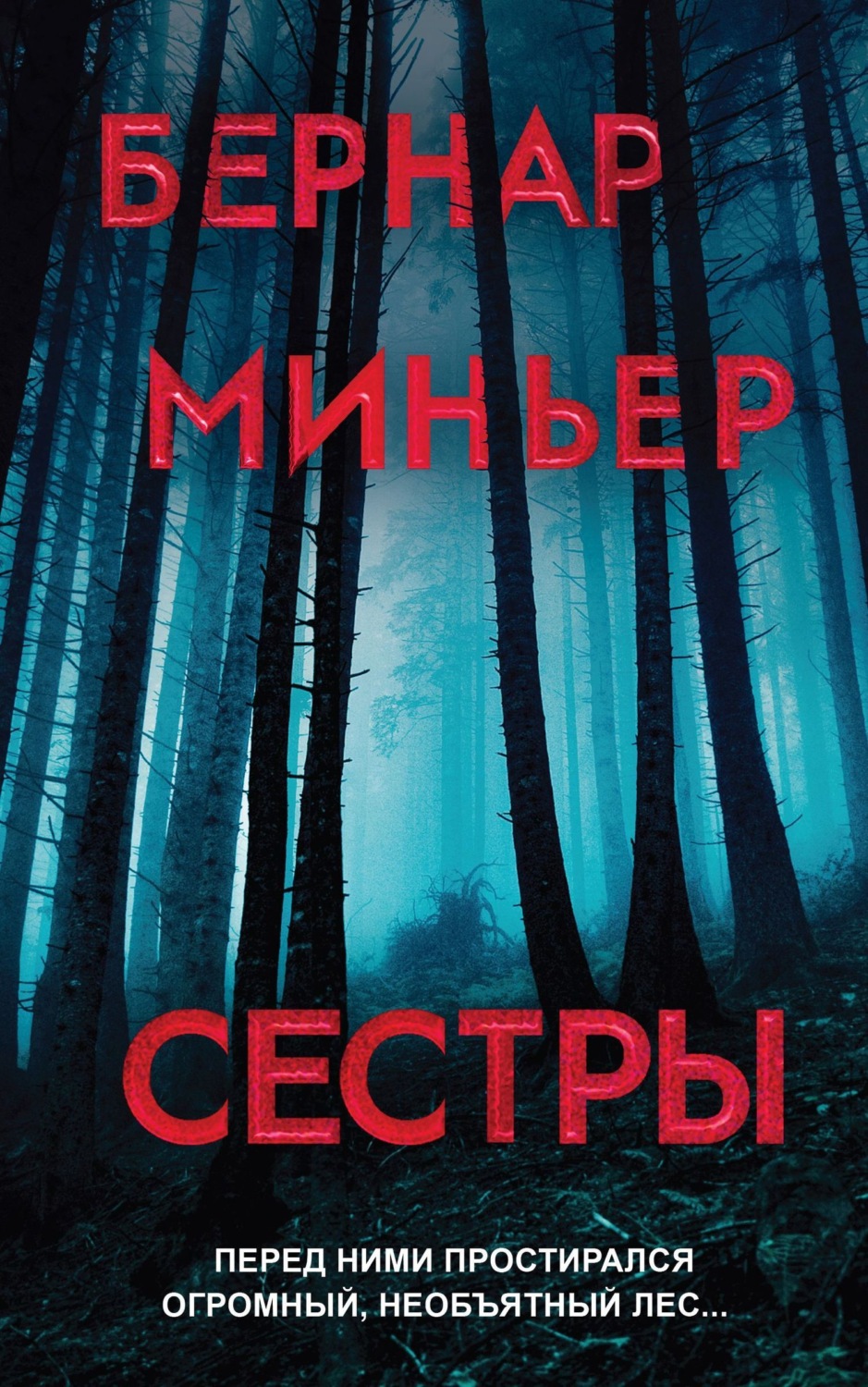 Обложка книги «Сестры»