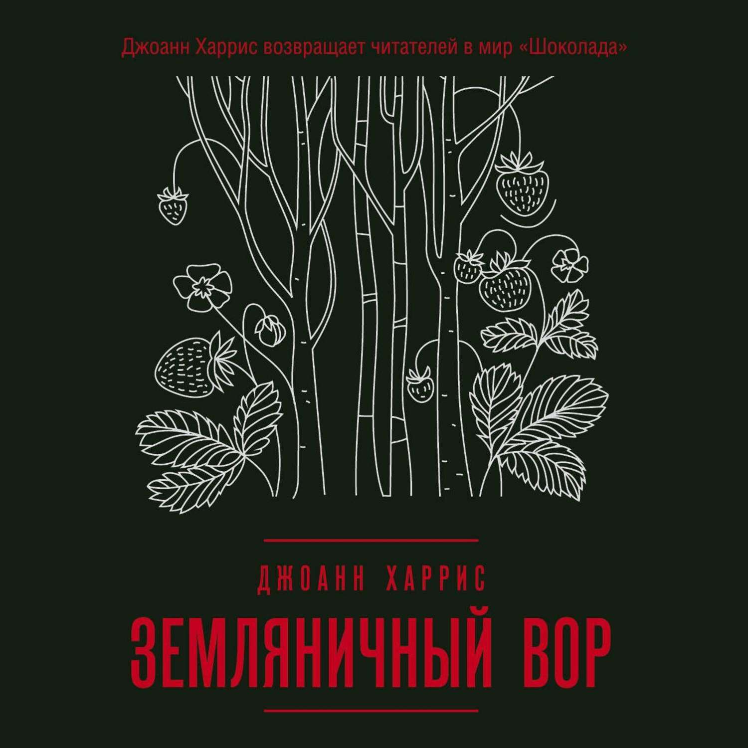 Обложка книги «Земляничный вор»