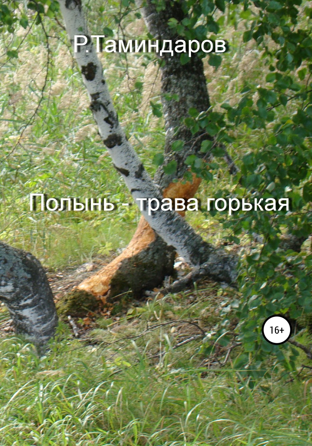 Обложка книги «Полынь – трава горькая»