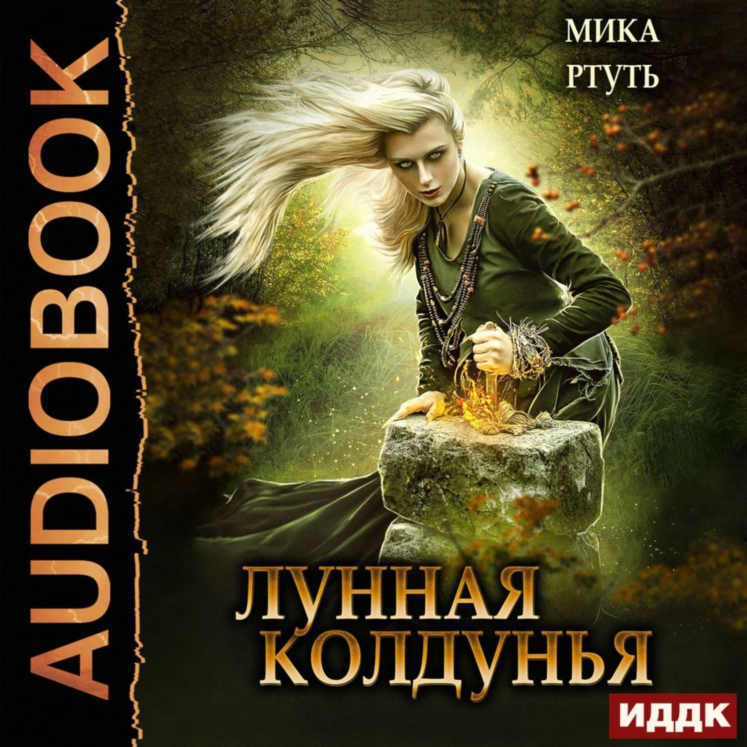 Обложка книги «Лунная колдунья»