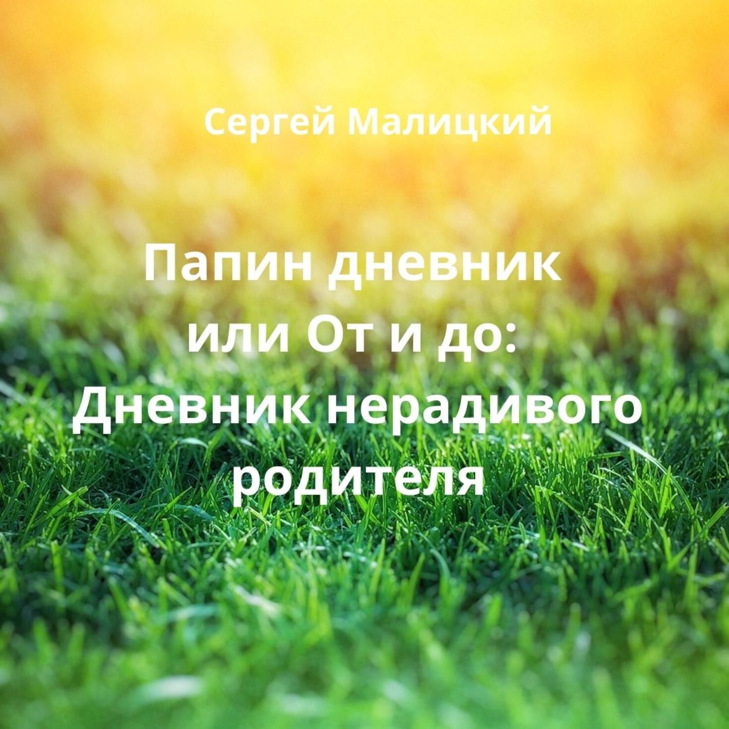 Обложка книги «Папин дневник или От и до: Дневник нерадивого родителя»
