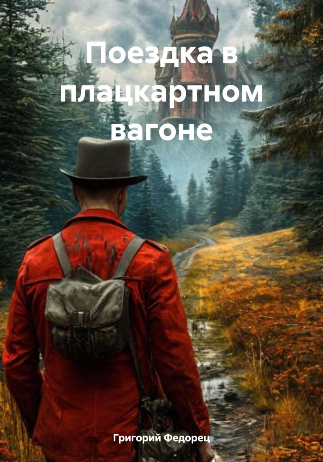 Обложка книги «Поездка в плацкартном вагоне»
