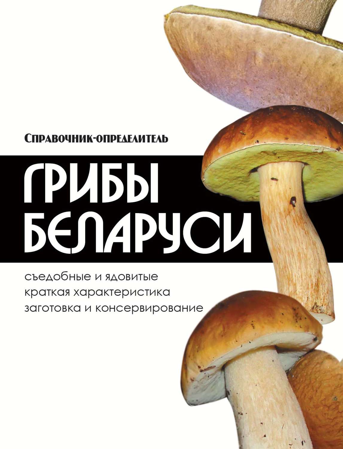 Обложка книги «Грибы Беларуси»