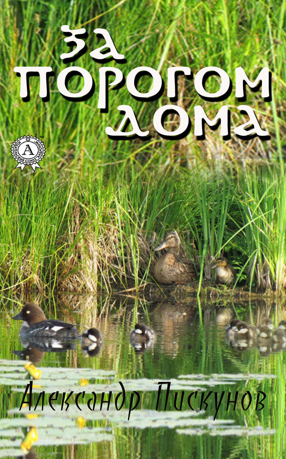 Обложка книги «За порогом дома»