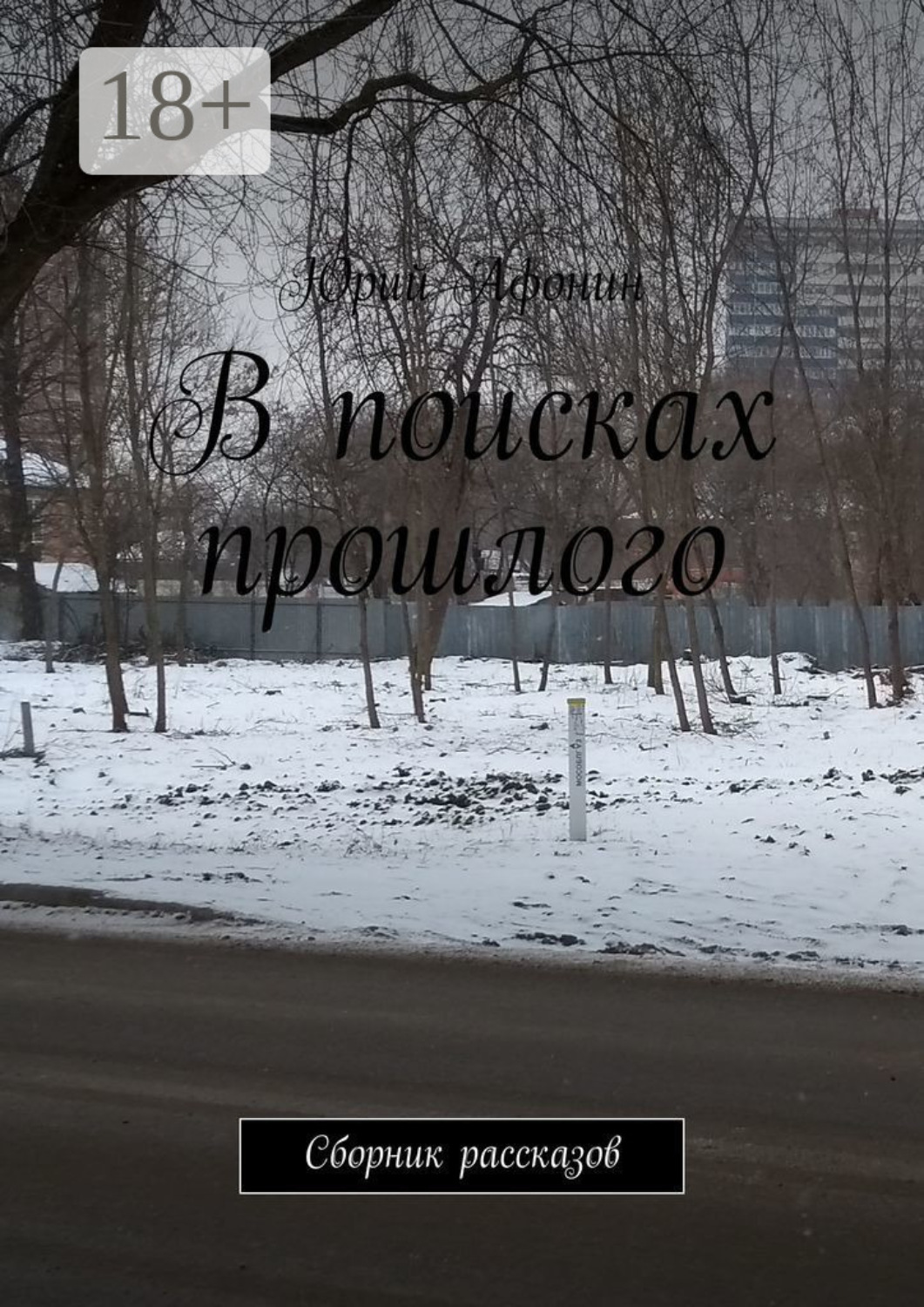 Обложка книги «В поисках прошлого. Сборник рассказов»