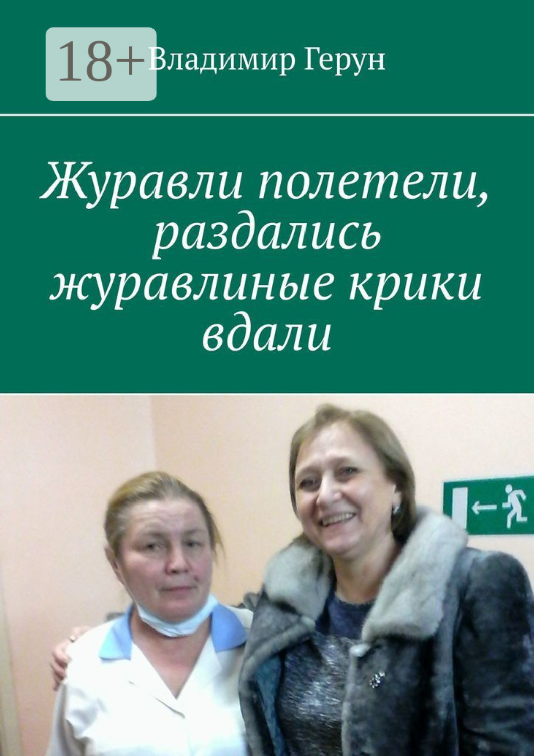 Обложка книги «Журавли полетели, раздались журавлиные крики вдали»